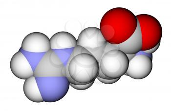 Amino acid arginine 3D molecular model