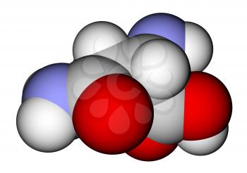 Amino acid asparagine 3D molecular model