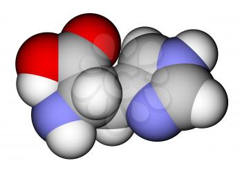 Essential amino acid histidine 3D model