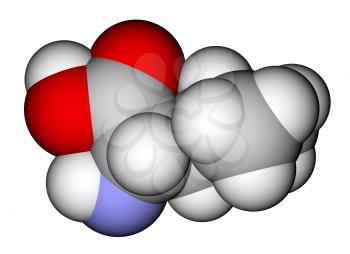 Essential amino acid leucine 3D molecular model
