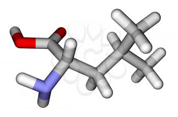 Essential amino acid leucine 3D molecular model