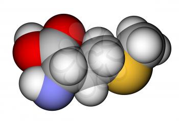 Essential amino acid methionine 3D molecular model