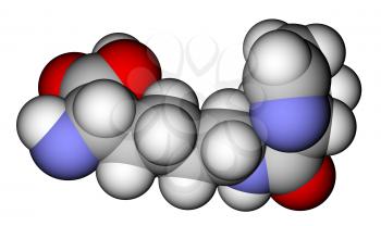 Amino acid pyrrolysine space-filling molecular model