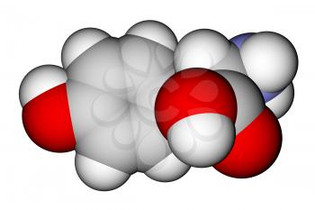 Amino acid tyrosine 3D molecular model