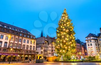 Christmas tree at the famous Christmas Market in Strasbourg - Alsace, France