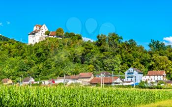 View of Wildegg Castle above a cornfield. Aargau, Switzerland