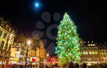 Christmas tree at the famous Christmas Market in Strasbourg, 2015
