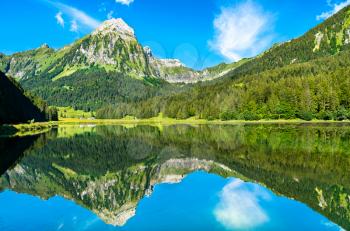 View of Brunnelistock mountain at Obersee lake in the Swiss Alps
