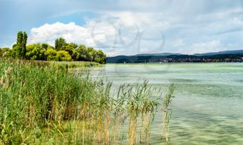 View of Lake Constance from Reichenau Island in Baden-Wurttemberg, Germany