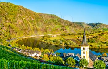 Saint Lawrence Church at the Bow of the Moselle river - Bremm town, Rhineland-Palatinate, Germany