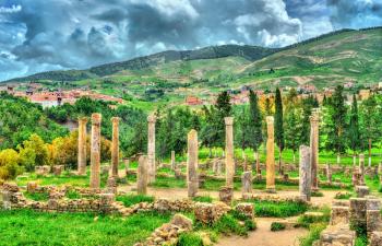 Berbero-Roman ruins at Djemila. UNESCO world heritage in Algeria