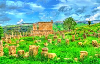 Berbero-Roman ruins at Djemila. UNESCO world heritage in Algeria