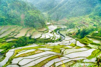 Banaue Rice Terraces in the rain. Luzon Island, Philippines. UNESCO world heritage site.