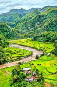 Mayoyao Rice Terraces, UNESCO world heritage in Ifugao - Luzon island, the Philippines