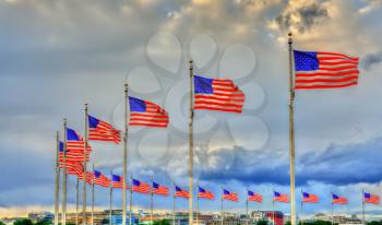 United States flags at the Washington Monument. Washington, D.C. United States