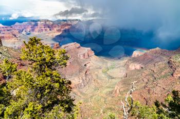 Rainbow above the Grand Canyon, at the South Rim. Arizona, United States