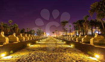 Alley of the Sphinxes in Luxor - Egypt