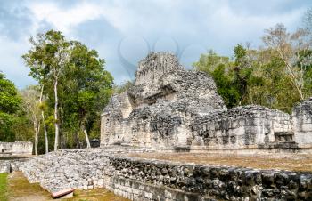 Ruins of a Mayan pyramid at the Chicanna Site in Campeche, Mexico