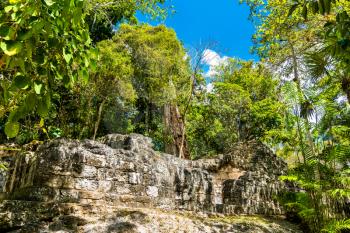 Ancient Mayan ruins at Tikal. UNESCO world heritage in Guatemala