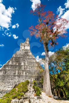 Temple of the Great Jaguar at Tikal. UNESCO world heritage in Guatemala