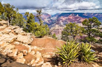 Grand Canyon as seen from the South Rim. Arizona, the United States