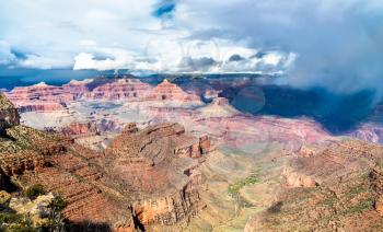 View of the Grand Canyon from the South Rim. Arizona, United States