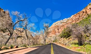 Zion Canyon Scenic Drive in Zion National Park - Utah, United States