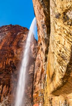 Weeping Rock in Zion National Park - Utah, United States