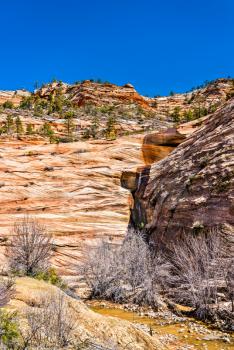 Rock formations at Zion National Park along Pine Creek. Utah, United States
