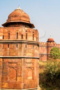 Defensive wall of Red Fort in Delhi. A UNESCO world heritage site in India