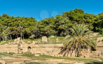 The Carthage Amphitheater, an acient Roman amphitheater in Tunis - Tunisia