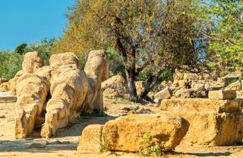 Fallen statue of Atlas at the Temple of Olympian Zeus in the Valley of Temples near Agrigento, Sicily - Italy