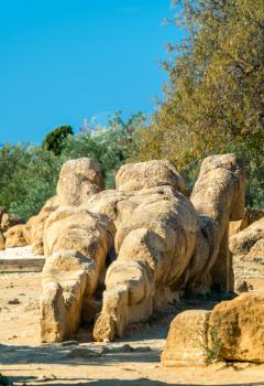 Fallen statue of Atlas at the Temple of Olympian Zeus in the Valley of Temples near Agrigento, Sicily - Italy
