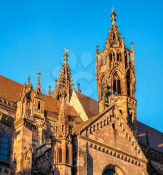 Freiburg Minster, the cathedral of Freiburg im Breisgau - Baden-Wurttemberg, Germany