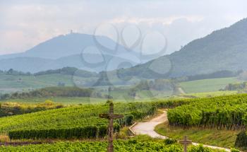 Famous wine route in Alsace, France