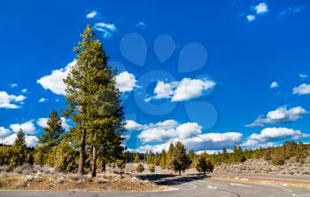 Volcanic Legacy Scenic Byway near Mount Shasta in Siskiyou County - California, United States