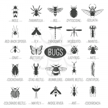 Insects icon flat style. 24 pieces in set. Outline version. Vector illustration