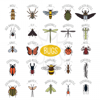 Insects icon flat style. 24 pieces in set. Colour version. Vector illustration