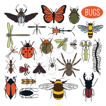 Insects icon flat style. 24 pieces in set. Colour version. Vector illustration
