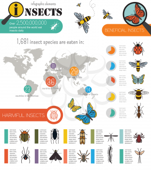 Insects infographic template. Vector illustration