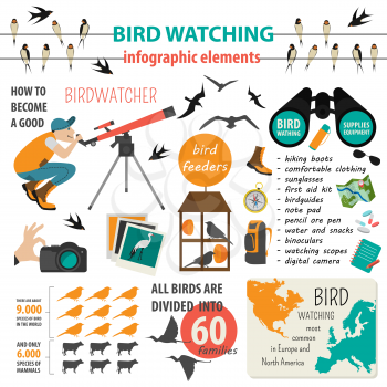 Bird watching infographic template. Vector illustration