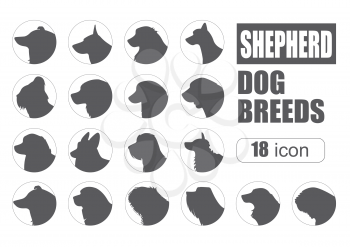 Dog breeds. Shepherd dog set icon. Flat style. Vector illustration