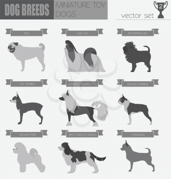 Dog breeds. Miniature toy dog set icon. Flat style. Vector illustration