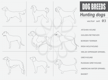 Dog breeds. Hunting dog set icon. Flat style. Vector illustration