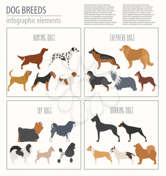 Dog info graphic template. Heatlh care, vet, nutrition, exhibition. Vector illustration 