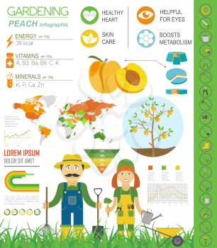 Gardening work, farming infographic. Peach. Graphic template. Flat style design. Vector illustration