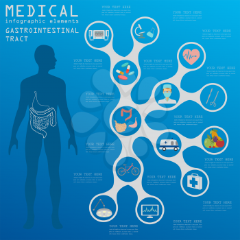 Medical and healthcare infographic, gastrointestinal tract infographics. Vector illustration