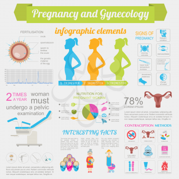 Gynecology and pregnancy infographic template. Motherhood elements. Constructor for creating your own design, infographics. Vector illustration
