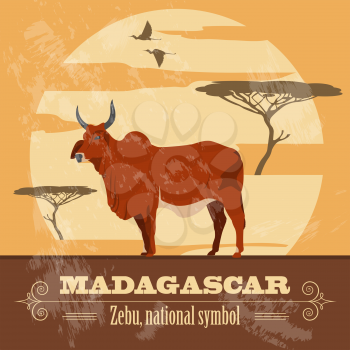 Madagascar. National symbol zebu. Retro styled image. Vector illustration
