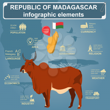 Madagascar infographics, statistical data, sights. Madagascar national symbol zebu. Vector illustration